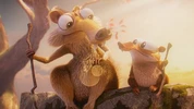 Nut the End